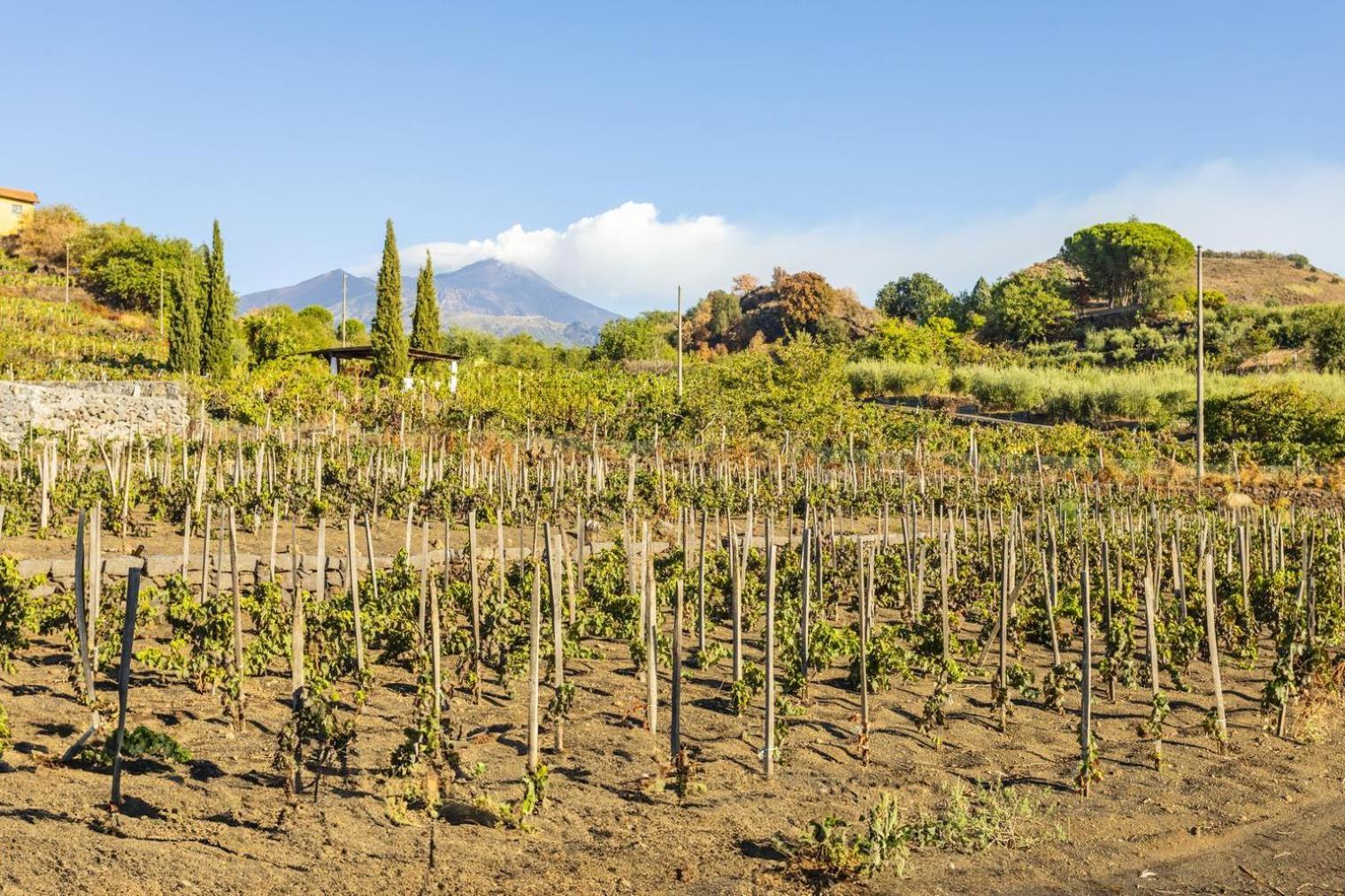 Etna Holiday home Trecastagni